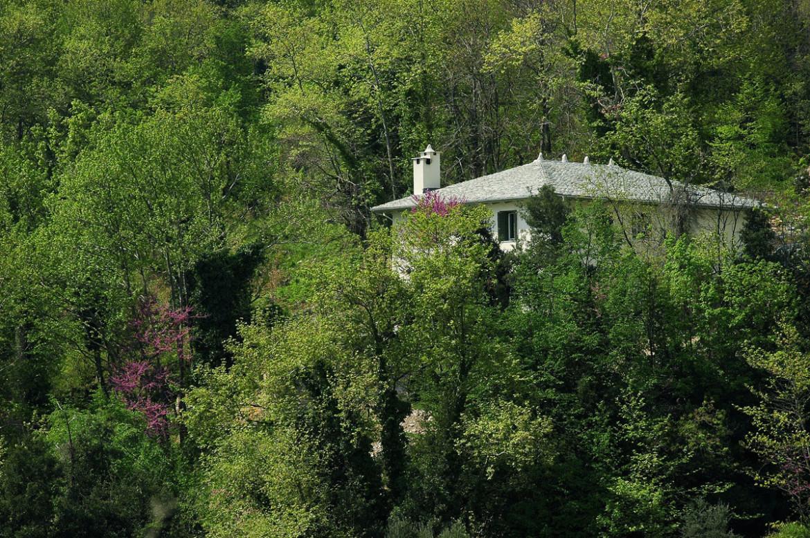 Tessera-Architects-Pilio-09